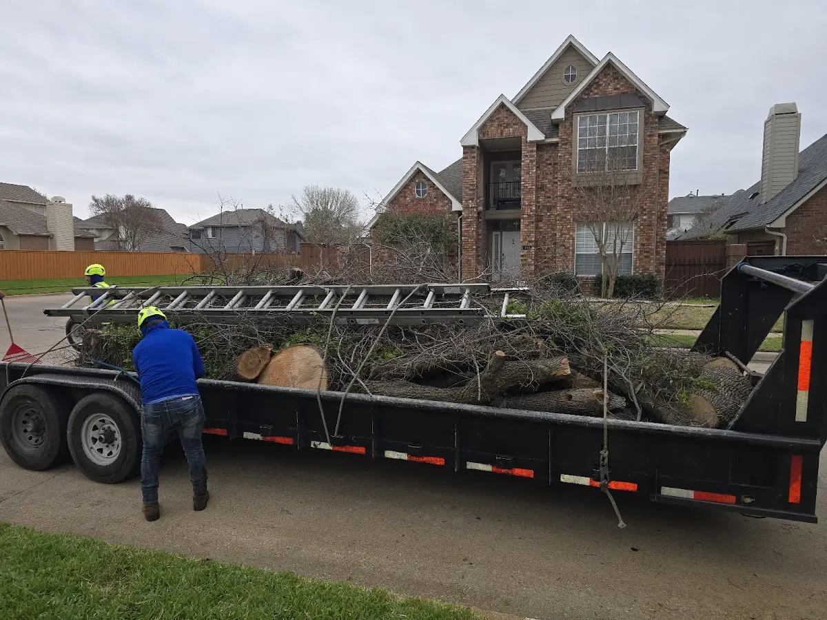 Expert Tree Pest Control with proper safety equipment in Mount Hope